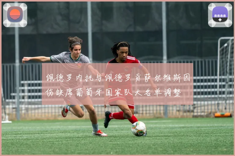 佩德罗内托与佩德罗贡萨尔维斯因伤缺席葡萄牙国家队大名单调整