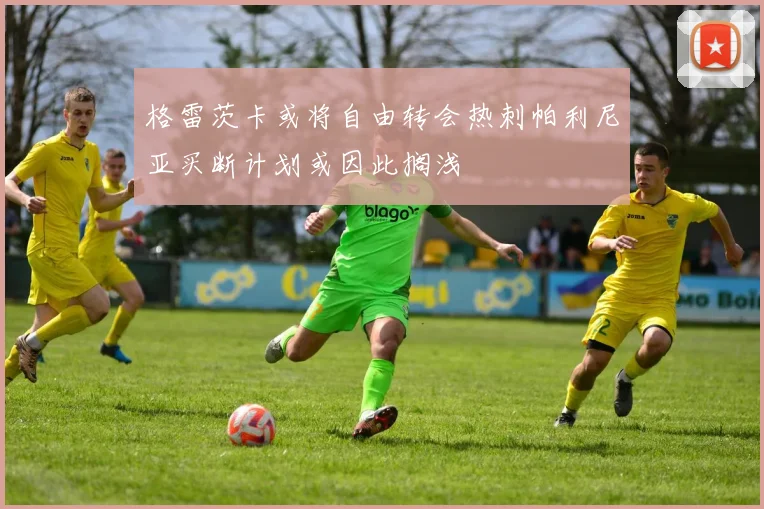格雷茨卡或将自由转会热刺帕利尼亚买断计划或因此搁浅