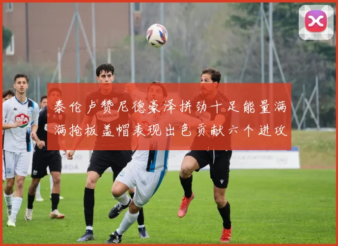 泰伦卢赞尼德豪泽拼劲十足能量满满抢板盖帽表现出色贡献六个进攻篮板