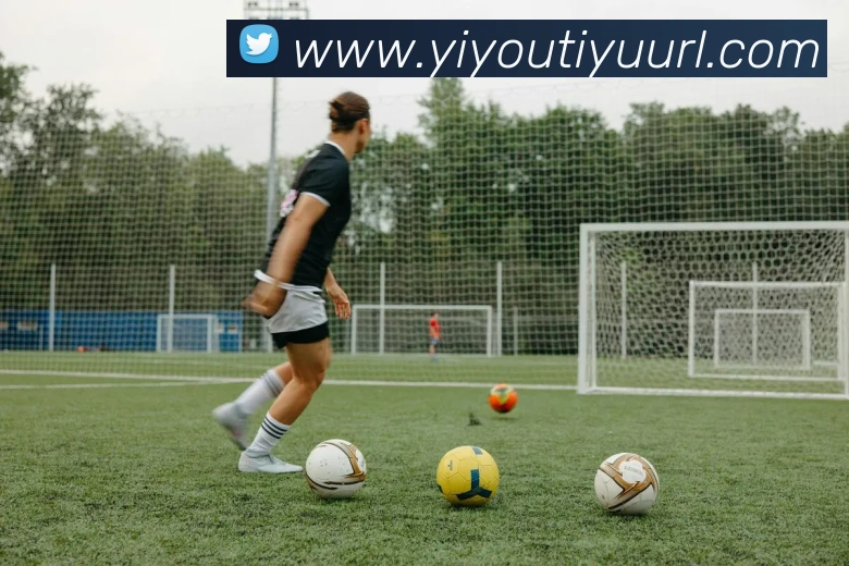 易游体育平台生态图