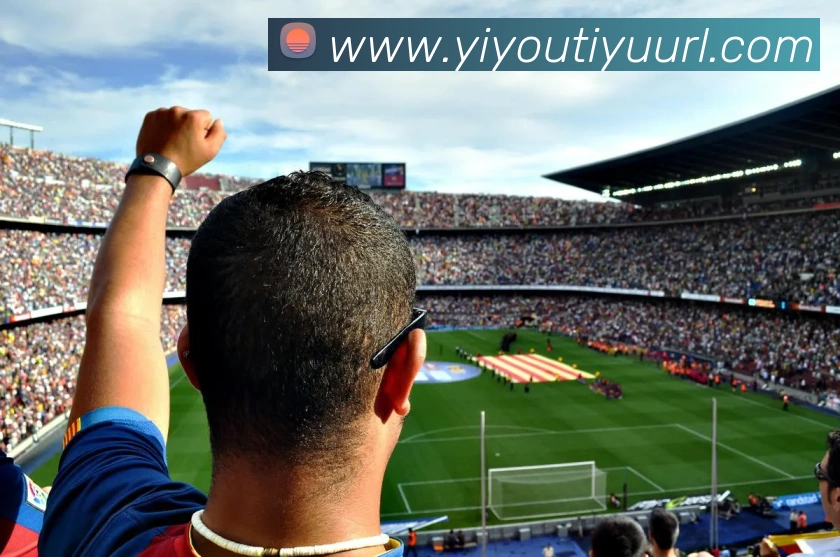 易游体育APP 封面图